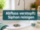 Abfluss verstopft: So reinigst du Siphons effektiv mit Natron und Essig
