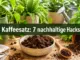 Kaffeesatz als Wundermittel: 7 nachhaltige Hacks für Haushalt und Pflanzendünger