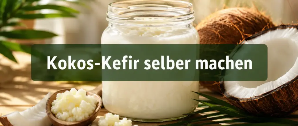 Kokos-Kefir selber machen: Die vegane Probiotika-Alternative