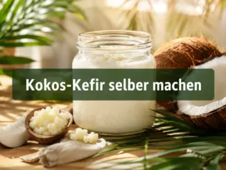 Kokos-Kefir selber machen: Die vegane Probiotika-Alternative