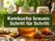 Kombucha brauen: Schritt-für-Schritt-Anleitung von der Erst- bis Zweitfermentation