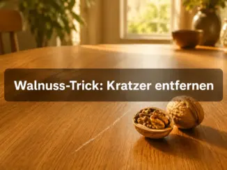 Kratzer in Holzmöbeln entfernen: Der Walnuss-Trick im Praxistest