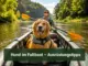 Mit dem Hund im Faltboot: Ausrüstungstipps für gemeinsame Flusswandertouren