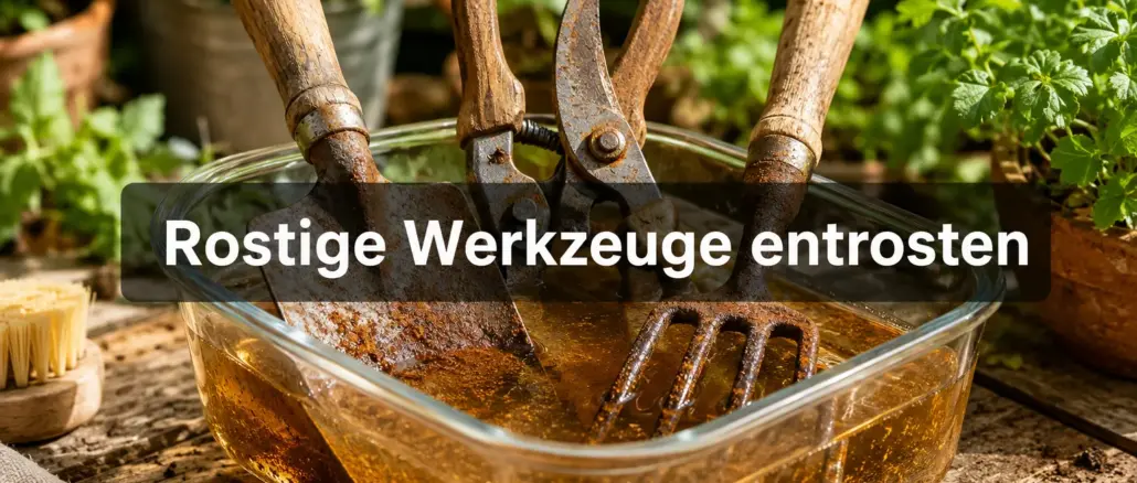 Rostige Gartenwerkzeuge reaktivieren: Das Entrostungsbad in Essigessenz