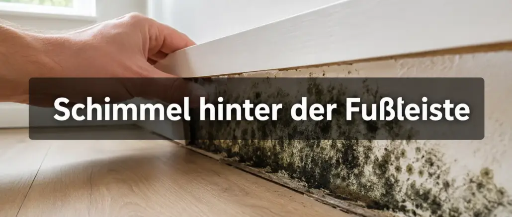 Schimmelbefall hinter der Fußleiste: So erkennst und sanierst du ihn selbst