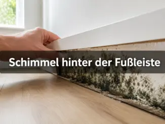 Schimmelbefall hinter der Fußleiste: So erkennst und sanierst du ihn selbst