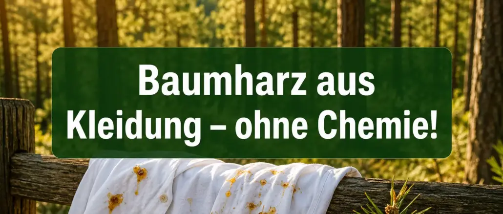 So entfernst du klebrige Baumharzflecken aus Kleidung ohne Chemie