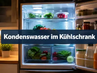 Warum bildet sich Kondenswasser im Kühlschrank und wie reinigt man den Ablauf?
