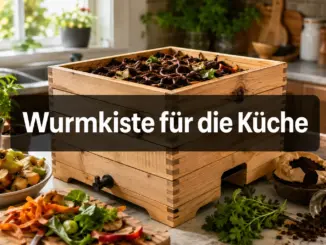 Wie funktioniert eine Wurmkiste für die Küche und was darf hinein?
