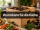 Wie funktioniert eine Wurmkiste für die Küche und was darf hinein?